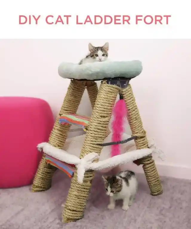 Make a DIY cat ladder fort