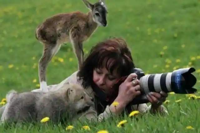 Surrounded By Curious Creatures