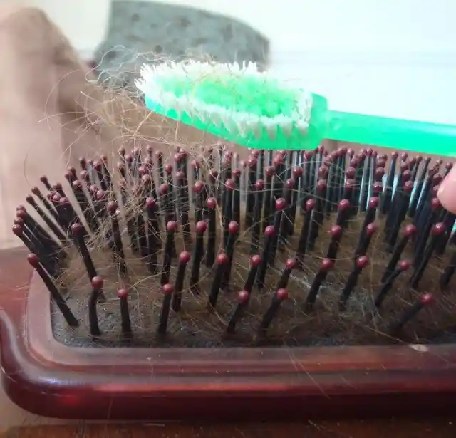 5. Clean Your Hairbrush