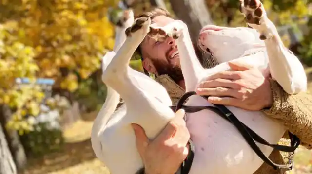 Un Hombre Publicó Una Foto Con Su Perro De Rescate Y La Gente Llamó A La Policía