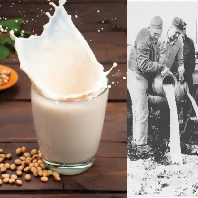 Milk, a Wonder Food