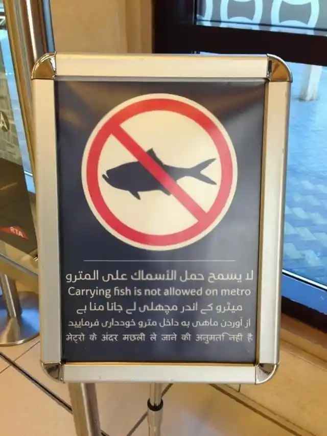 No Fish Zone