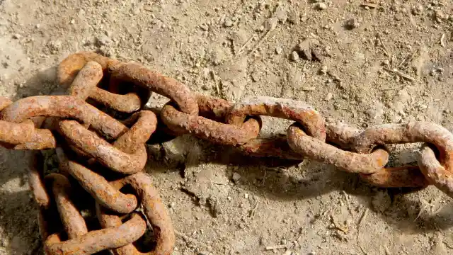 Girl Goes Missing For 5 Years, Dad Finds Buried Chain In Yard And Breaks Case Wide Open