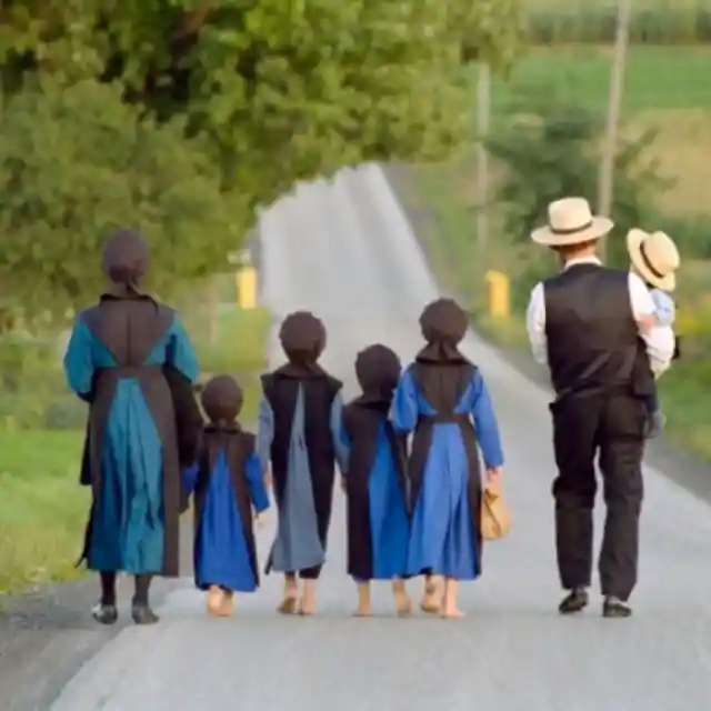 Facts That Will Answer All Your Questions About The Amish