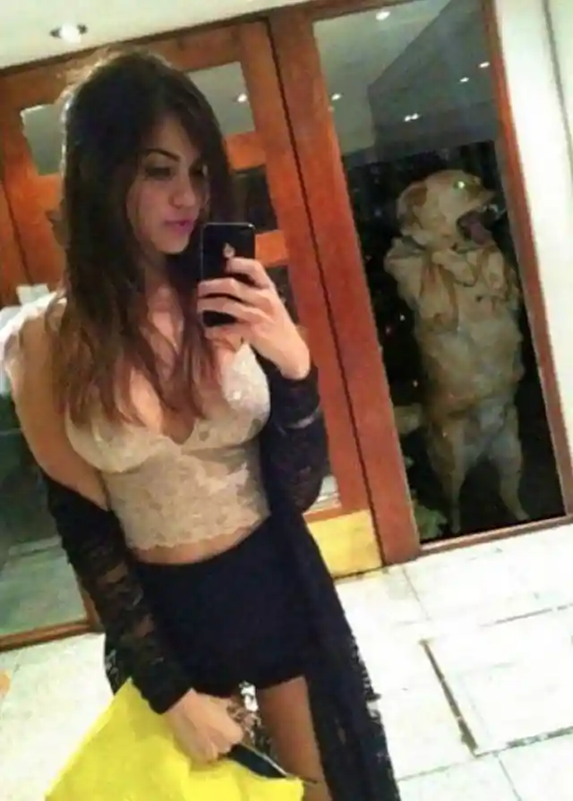 Even The Dog Is Tired Of Her Selfies