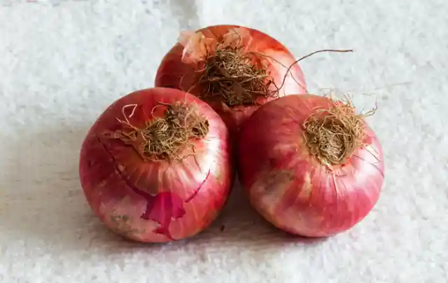 Onion