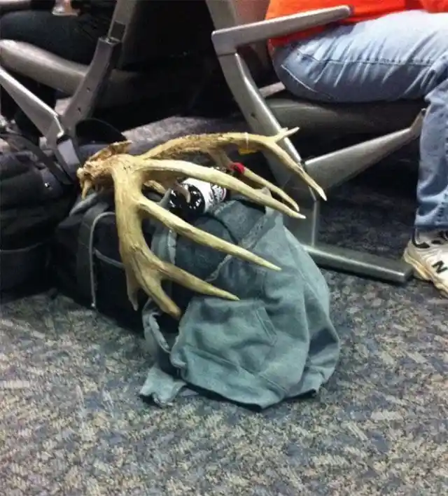 Danger In Carry-On