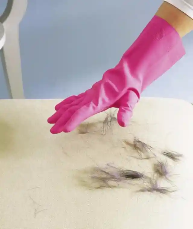 Use rubber Glove as Pet Hair Remover