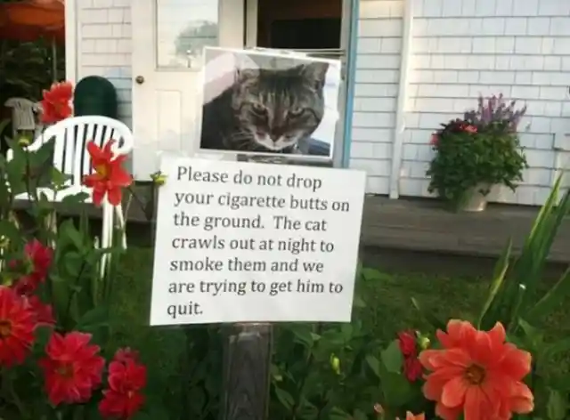 These Neighbors Hung The Most Hilarious Signs In Their Yards To Convey The Message