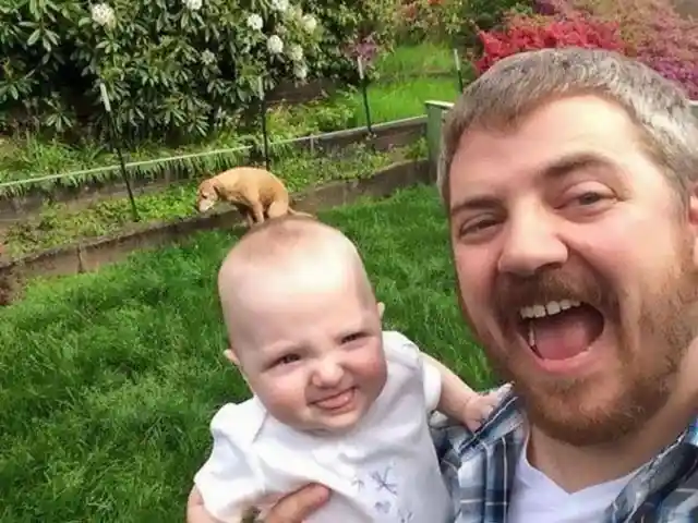 What Is That Dog Doing On that Baby's Head!?