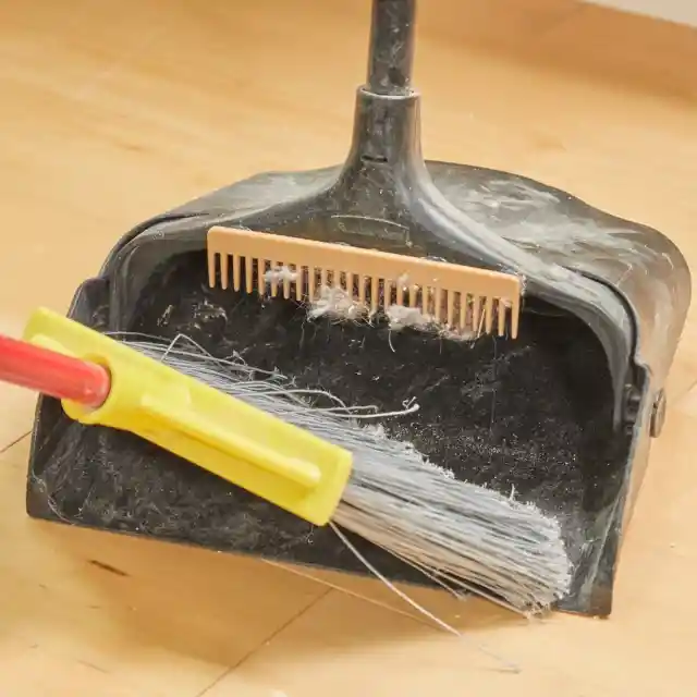 6. Broom Cleaning Dustpan