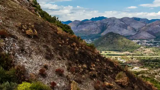 Descending The Slope