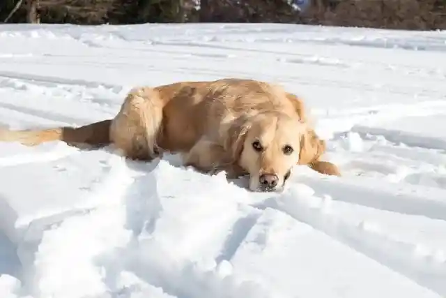 Waiting For Mom And Dad To Say OK