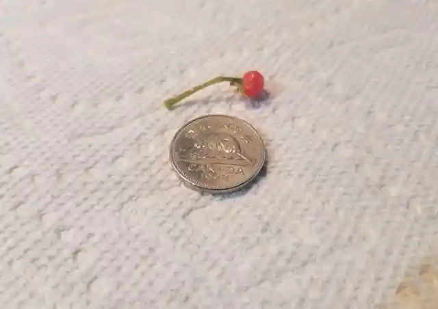 19. World's Smallest Tomato