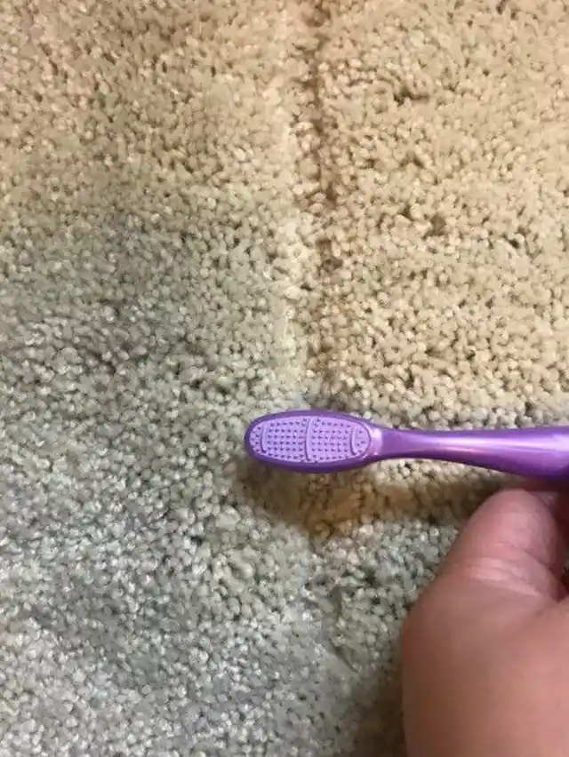 10. Clean Carpet Stains