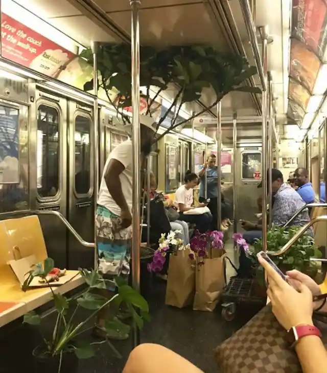 Jardinería En El Metro