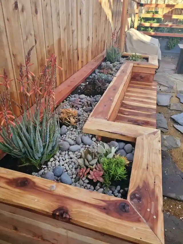 The succulent bench