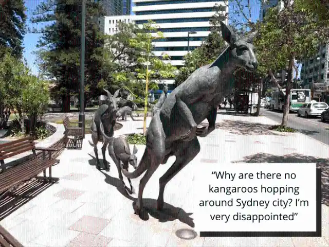 No kangaroos in the city