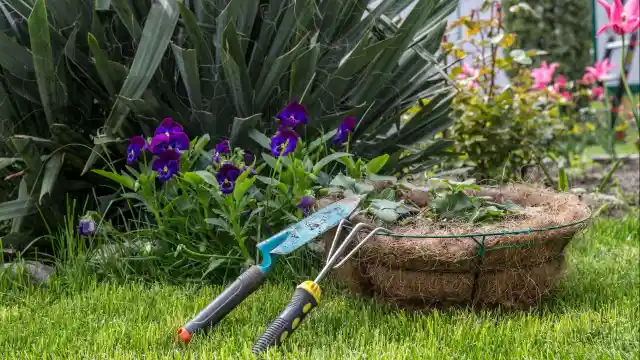 Mom Checks Empty Trash Can After Babysitters Quit, Finds Husband’s Secret