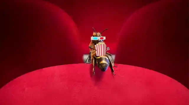 Bee Spot At The Cinema