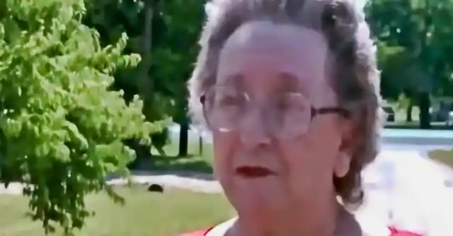Grandma Lets 4 Boys Enter Backyard Daily, Gut Tells Neighbor To Investigate
