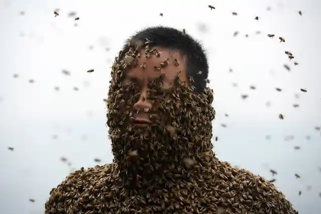 Man Covered by Most Bees