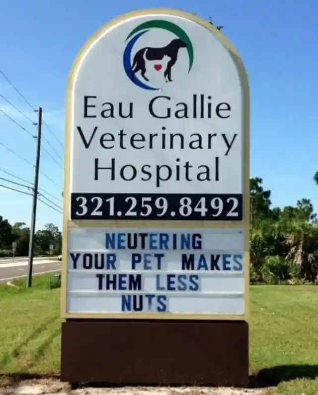 Una Ocurrencia Premiada Por Un Hospital Veterinario