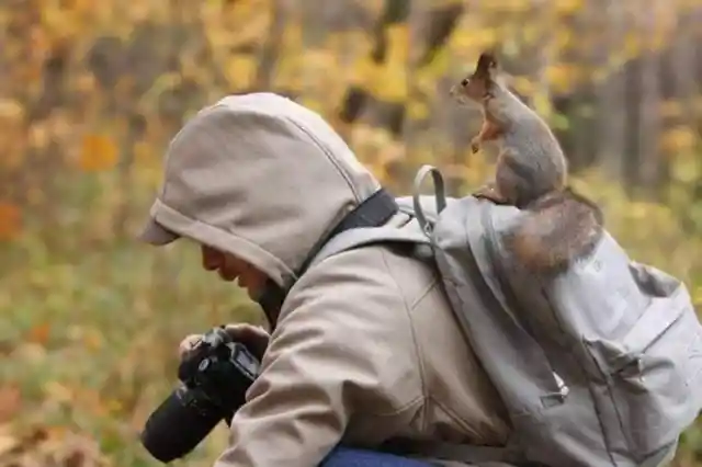 Squirrel’s New Favorite Place