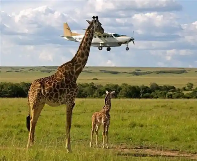 The View For Flight Passengers