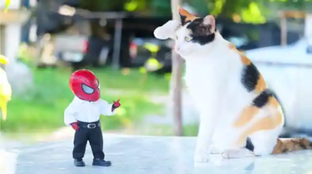 Artist Pictures Baby Spiderman And Cats Together And The Results Are Adorable