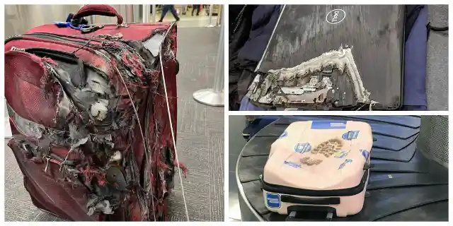 Trouble At Baggage Claim: 40 Times Airlines Totally Wrecked People’s Luggage