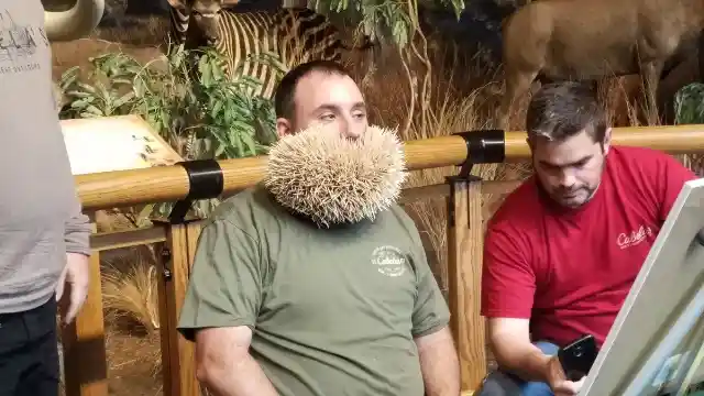 Most Toothpicks in a Beard