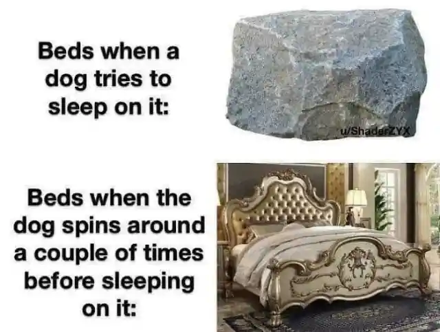 Bedtime Routine