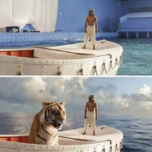 Life Of Pi