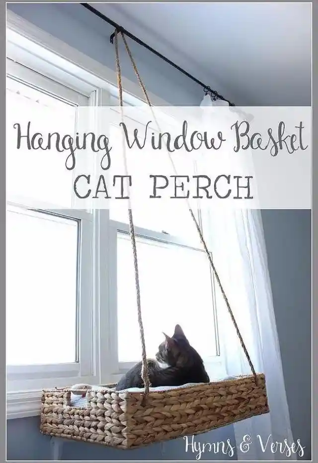 DIY Hanging Window Basket Cat Perch