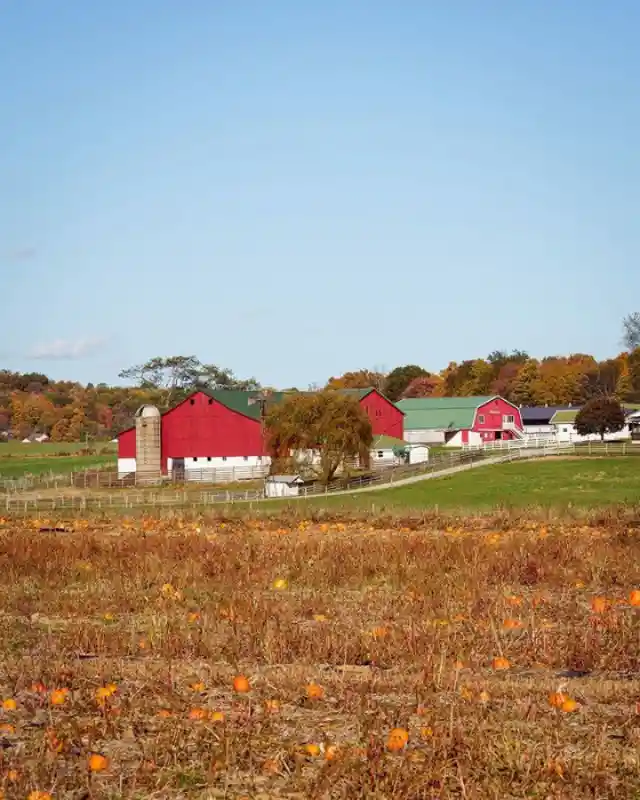 Amish Around The United States