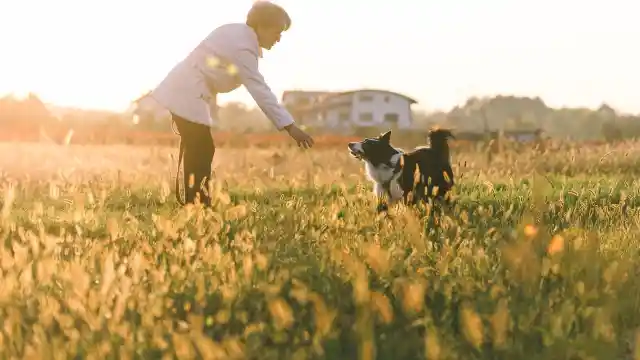 Mom Notices Dog Won’t Leave Trash Bag Alone, Finds Out Neighbor’s Secret