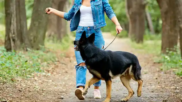 Mom Notices Dog Won’t Leave Trash Bag Alone, Finds Out Neighbor’s Secret