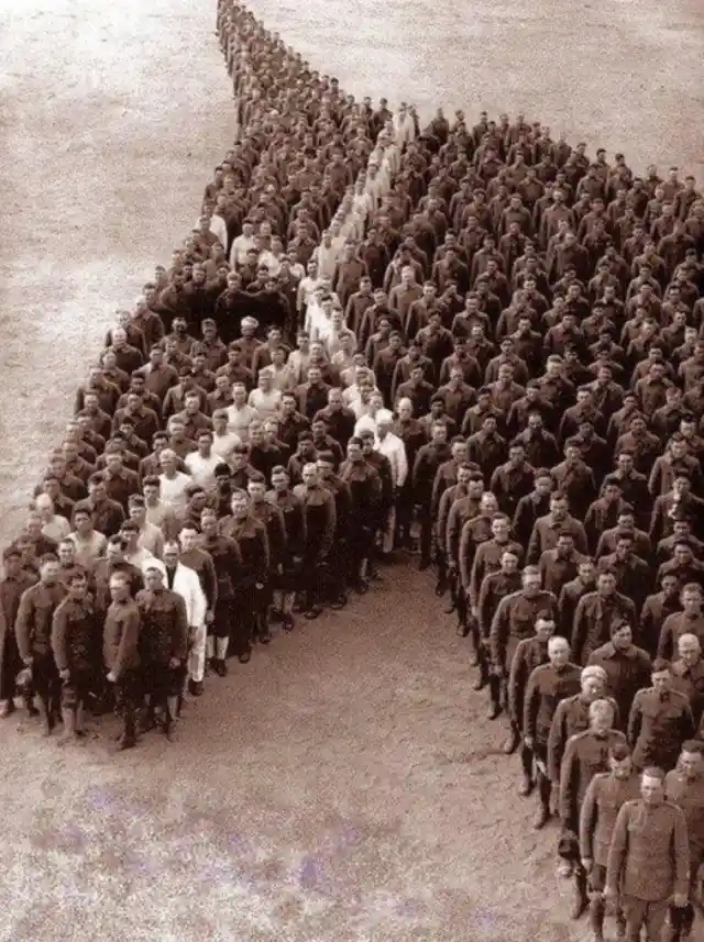 A Tribute To The Working Animals, 1918