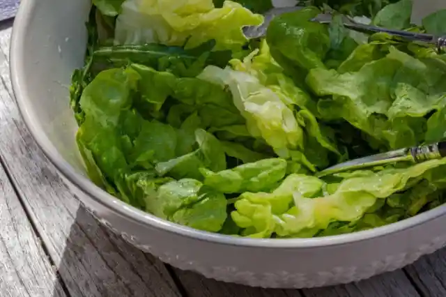 Giving New Life To A Wilting Lettuce