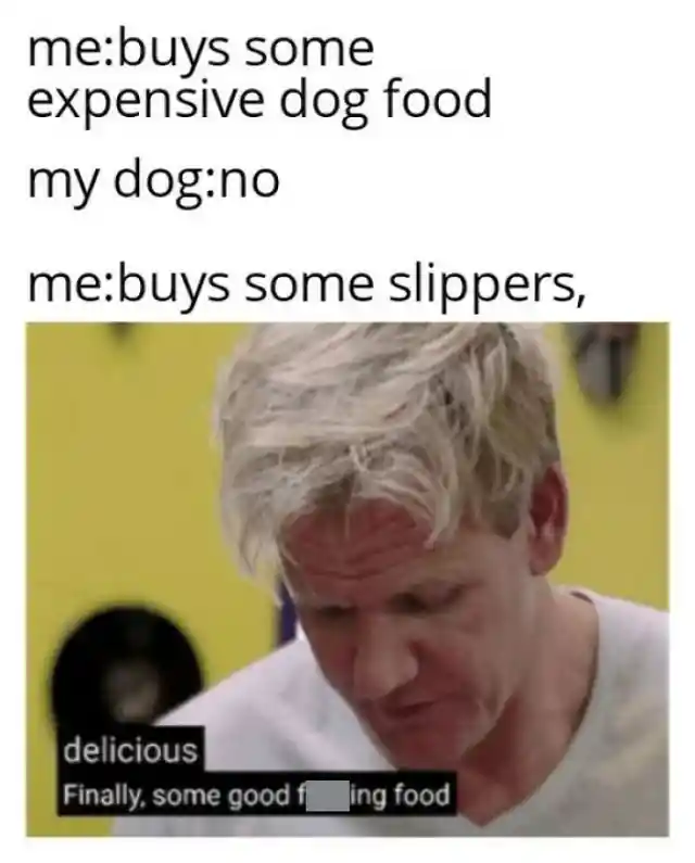 Slippers vs Dog Food