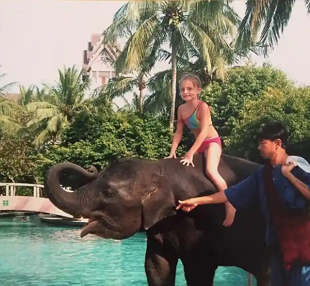 Rescue By Elephant