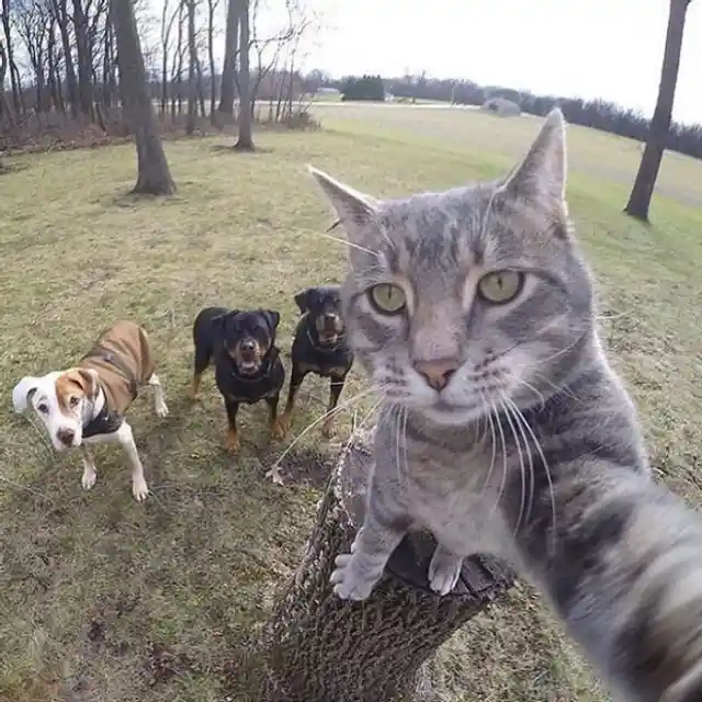 Posing For Selfie