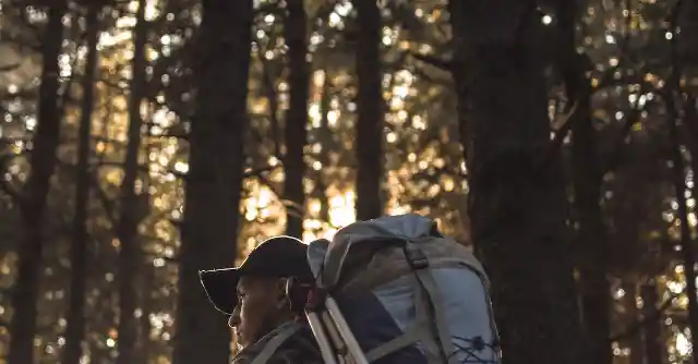 Hiker Notices Something Strange About Tree, Finds Connection To Missing Person