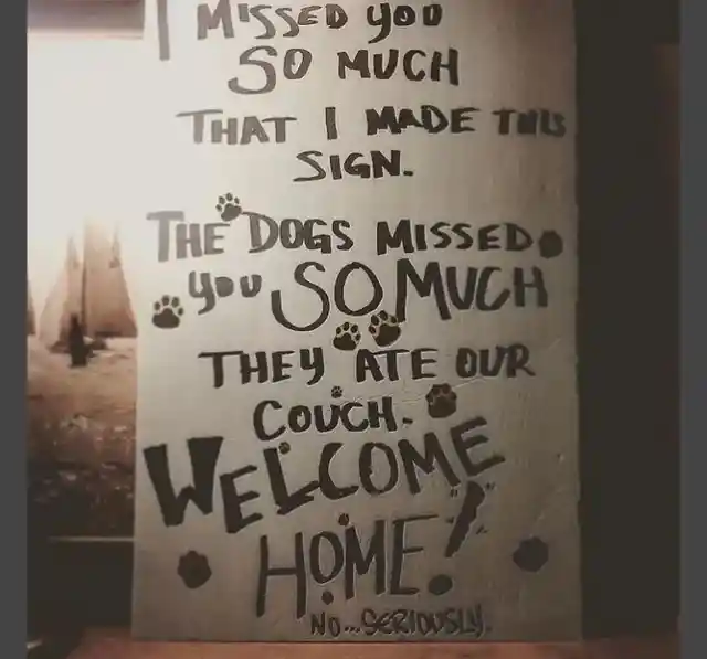 The Dogs Missed You So Much