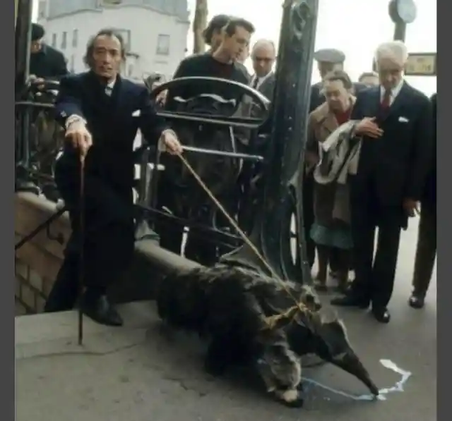 Salvador Dali’s pet