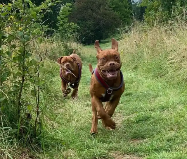 We Love When They Get The Zoomies