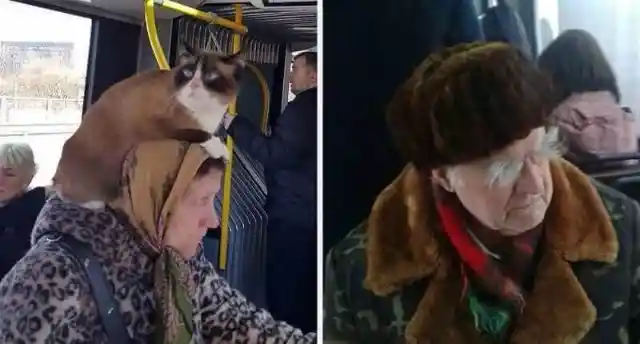 35 Bizarre and Funny Things Spotted On Public Transportation