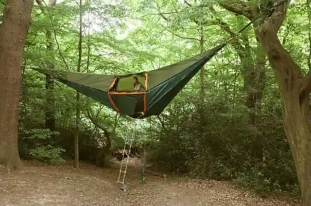 Tree Camping