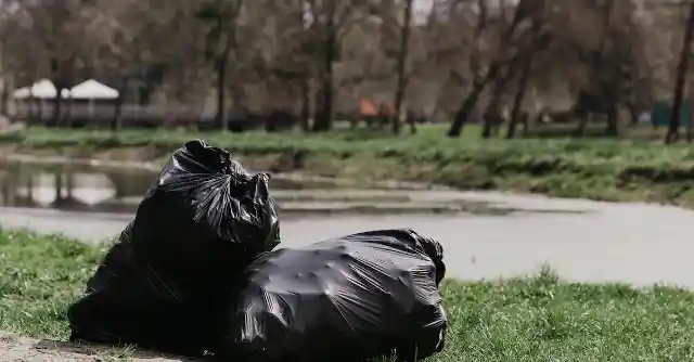 Woman Notices Trash Bag On Road, Follows Her Instincts And Opens It Up